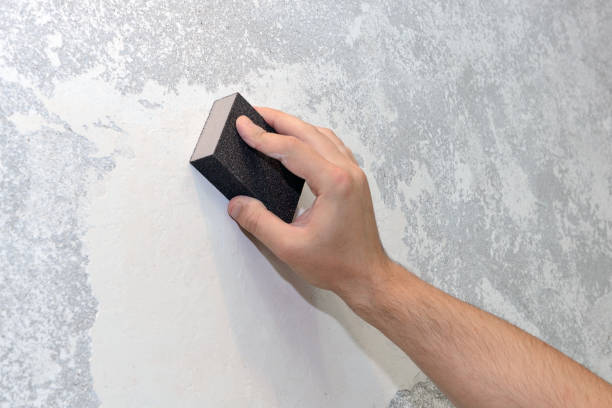 Best HVAC Mold Inspection and Cleaning  in Troy, MI