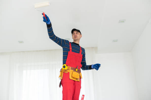 Mold Removal for HVAC Installations in Troy, MI