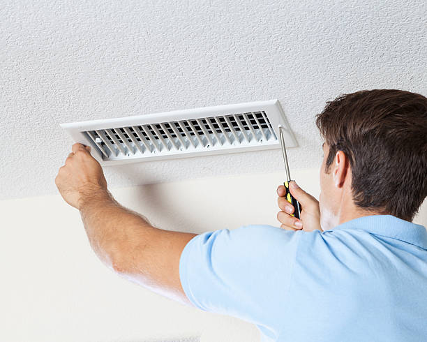Best Biohazard Mold Removal  in Troy, MI