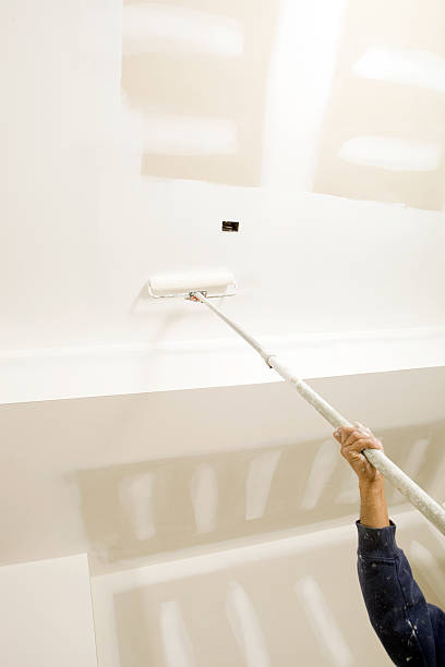 Best Basement Mold Removal  in Troy, MI