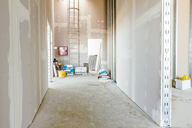 Best Emergency Mold Remediation  in Troy, MI